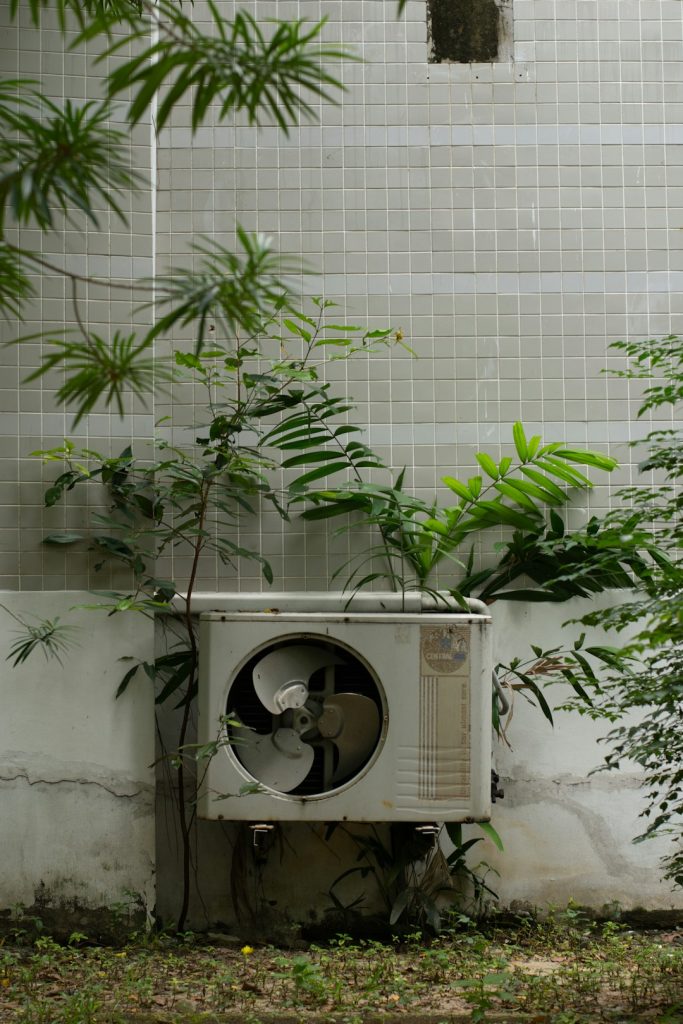 a-planter-outside-with-a-plant-growing-out-of-it-lw2rgpjg9ci